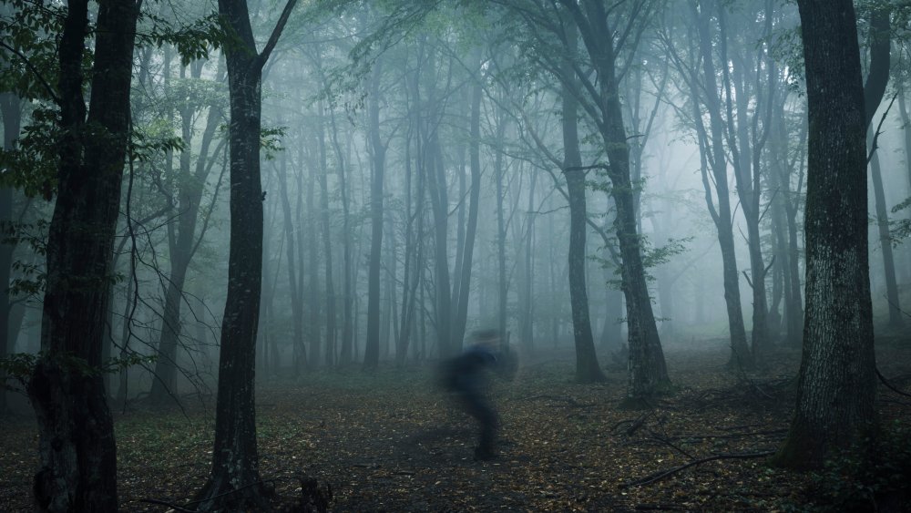 Figure in woods