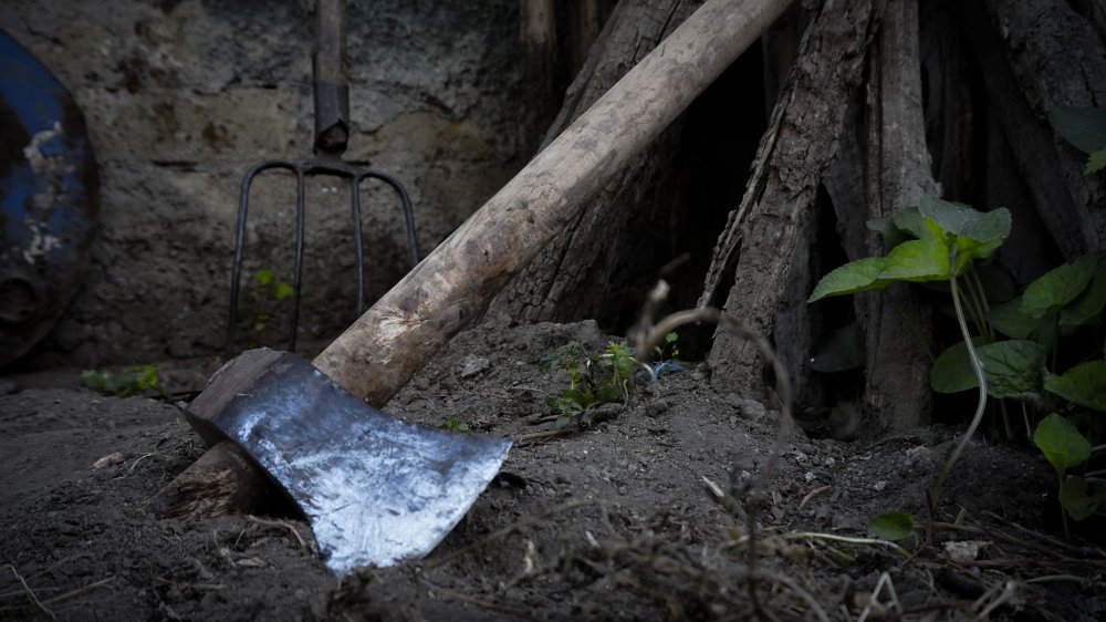 Old ax on ground
