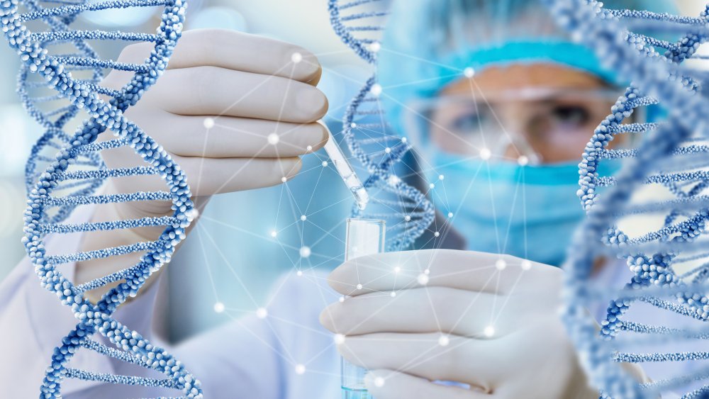 DNA testing