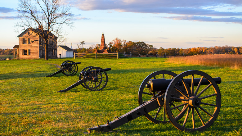 Cannons at Bull Run