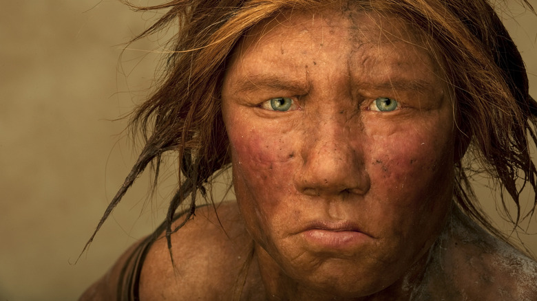Recreated portrait of Neanderthal woman