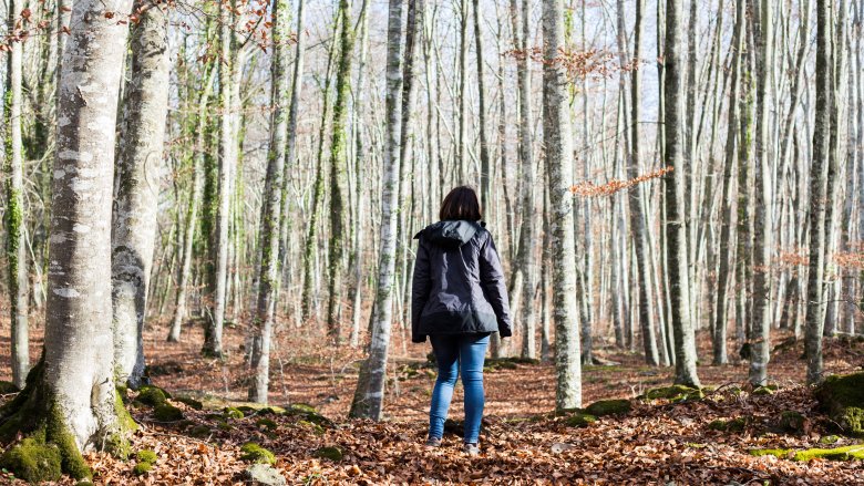 The Greatest Survival Stories of All Time: True Tales of People Cheating Death When Trapped in a Cave, Adrift at Sea, Lost in the Forest, Stranded on a Mountaintop and More: Tabachnick