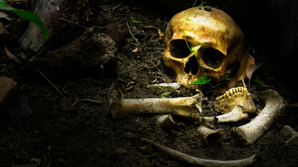 vintage skull buried in earth