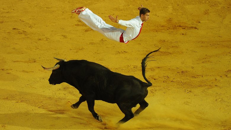 Bull leaping