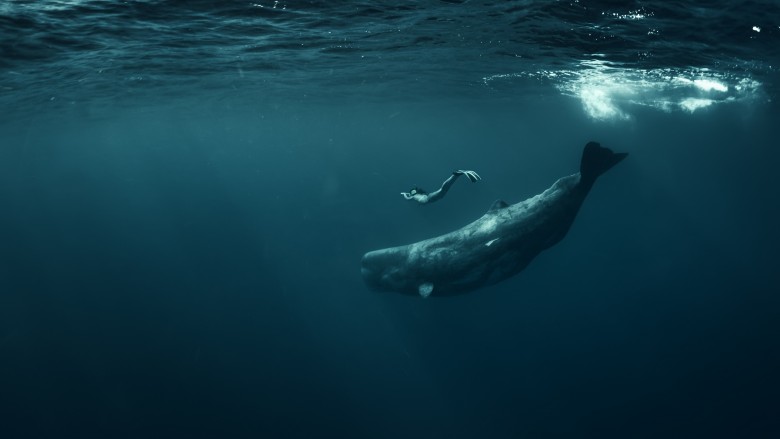 whale with mermaid