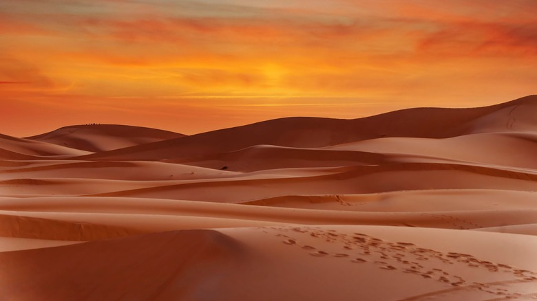 desert sands