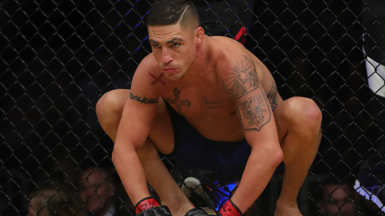 Diego Sanchez in the ring