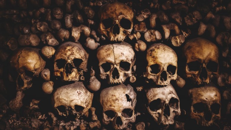 paris catacombs