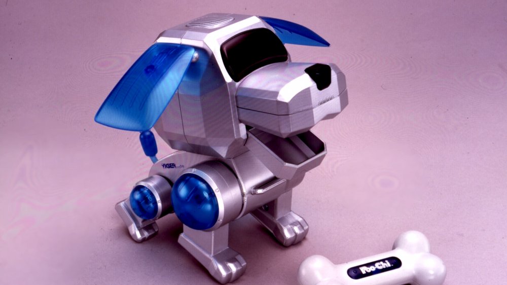 robot dog