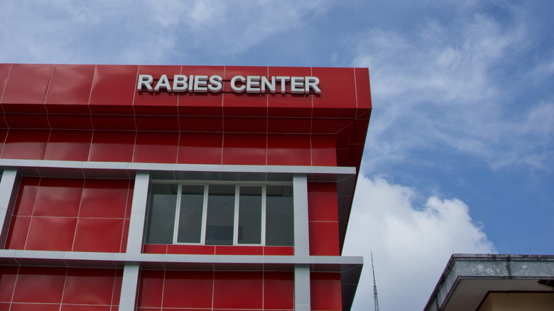 rabies hospital in indonesia