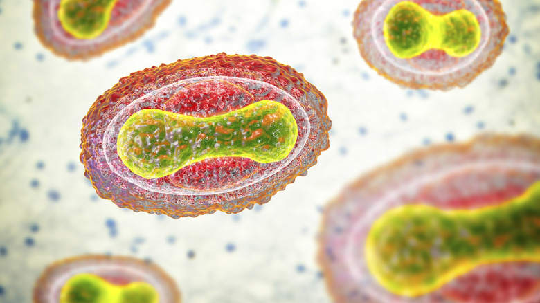 illustration of smallpox virus