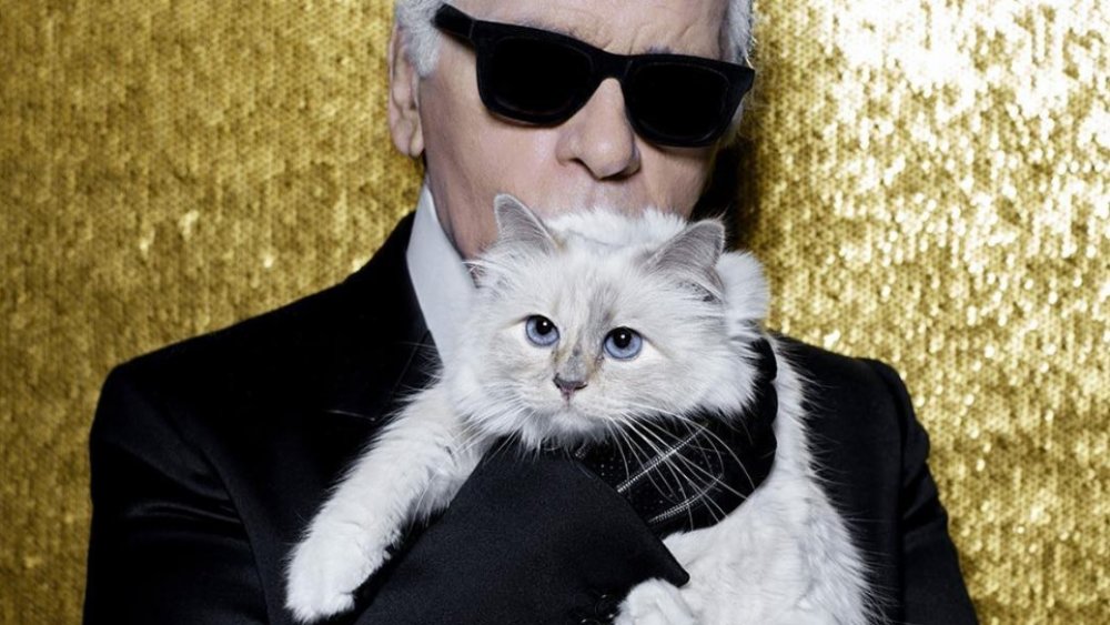 Karl Lagerfeld, Choupette