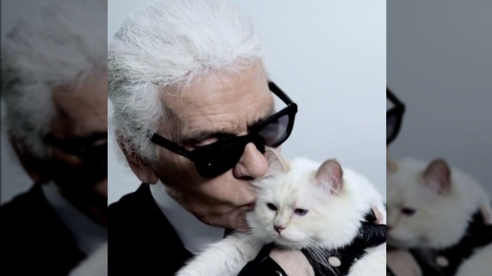 Karl Lagerfeld, Choupette
