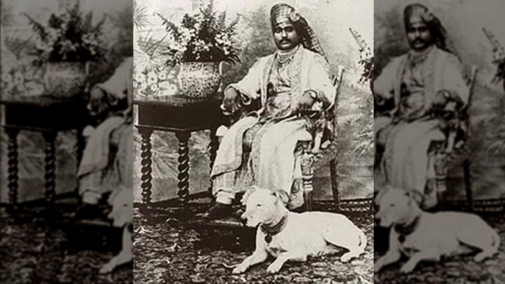 The Maharaja of Junagadh, dogs