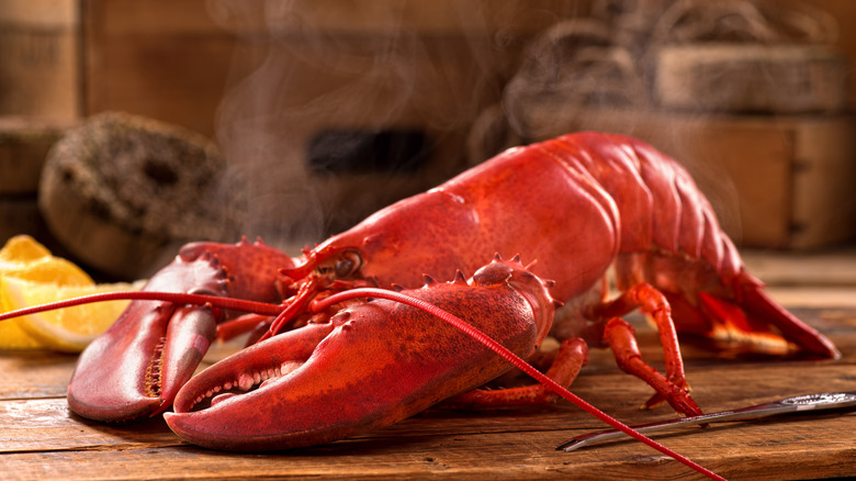Cooked rustic lobster