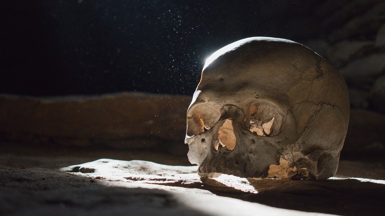 backlit human skull on ground