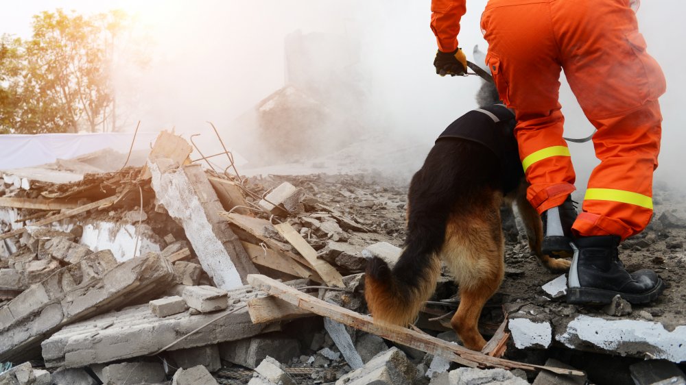 Search and rescue