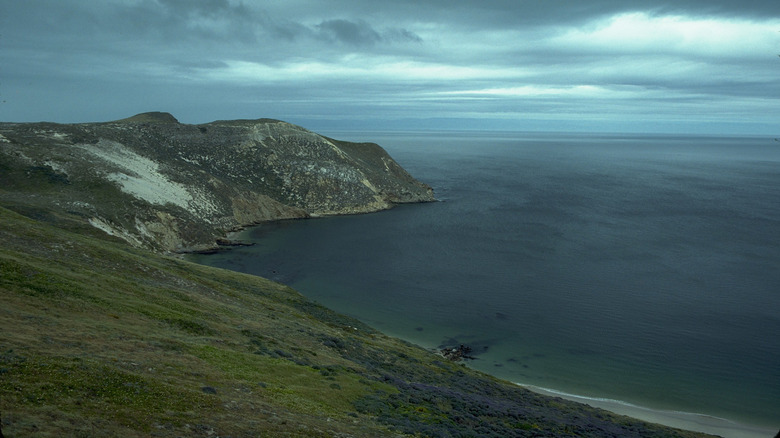 Channel Islands National Park