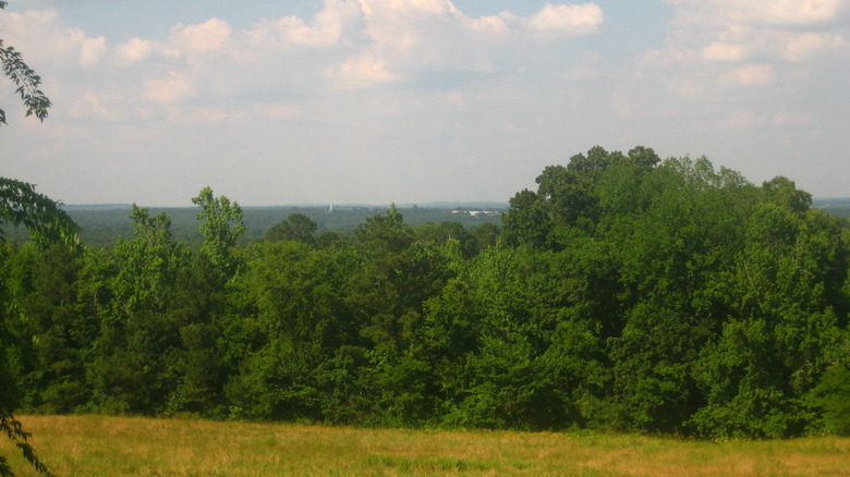 View or Nacogdoches, Texas