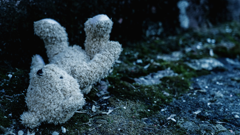 lost teddy bear