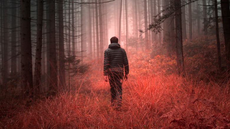 Man walking in woods