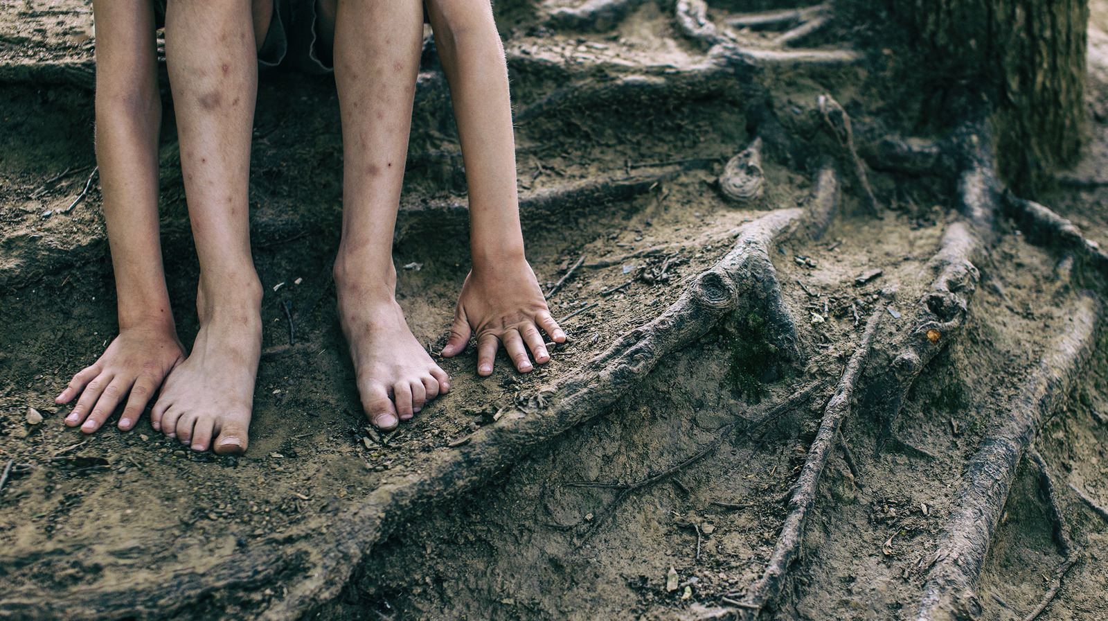 The Mysterious Case Of The Feral Child Victor Of Aveyron