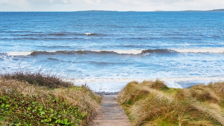 Rosses Point