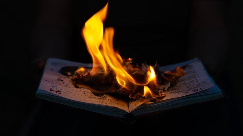 Burning diary