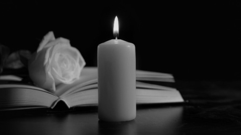 Candle flower