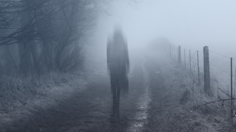 Woman disappear