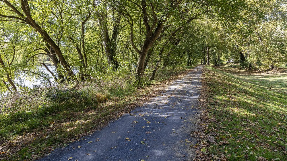 Chesapeake & Ohio Canal towpath