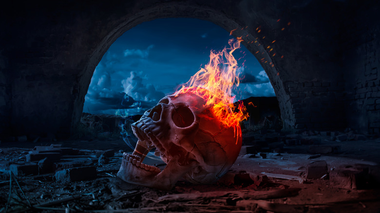 Skull on fire 