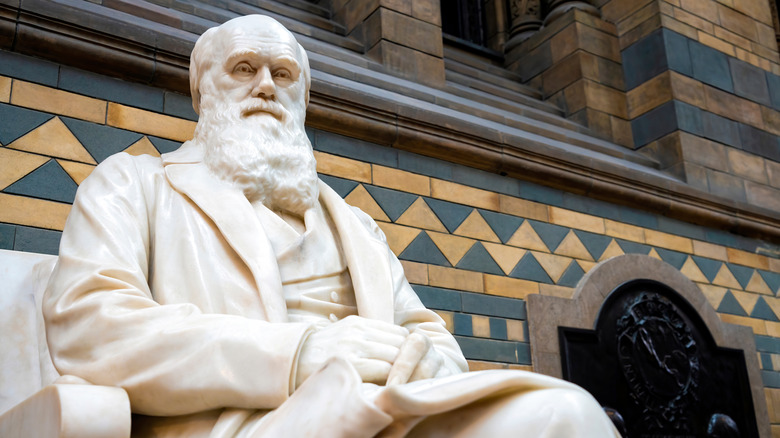 Statue of Charles Darwin