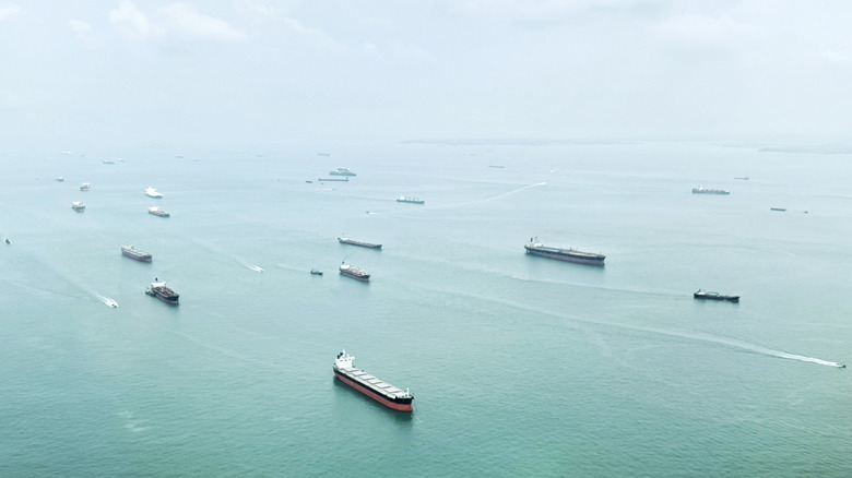 Aerial view of may ships at sea