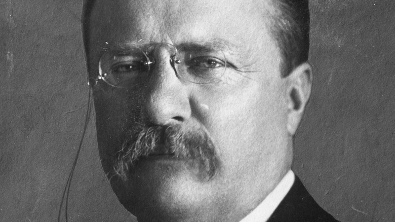 Theodore Roosevelt, 1904