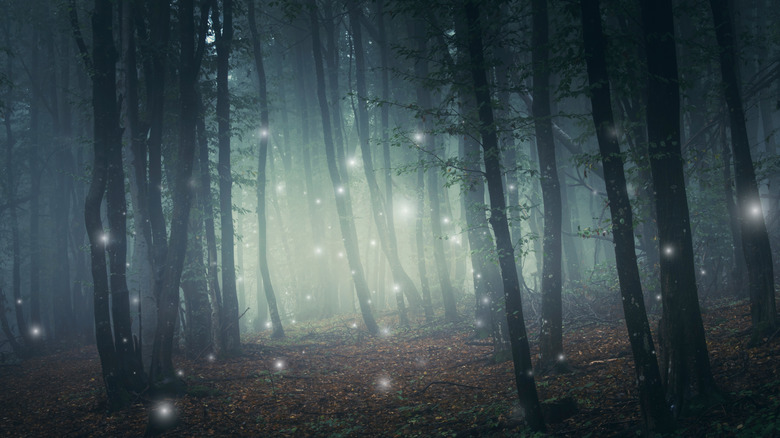 forest sparkles