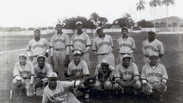 The Cienfuegos Elephants