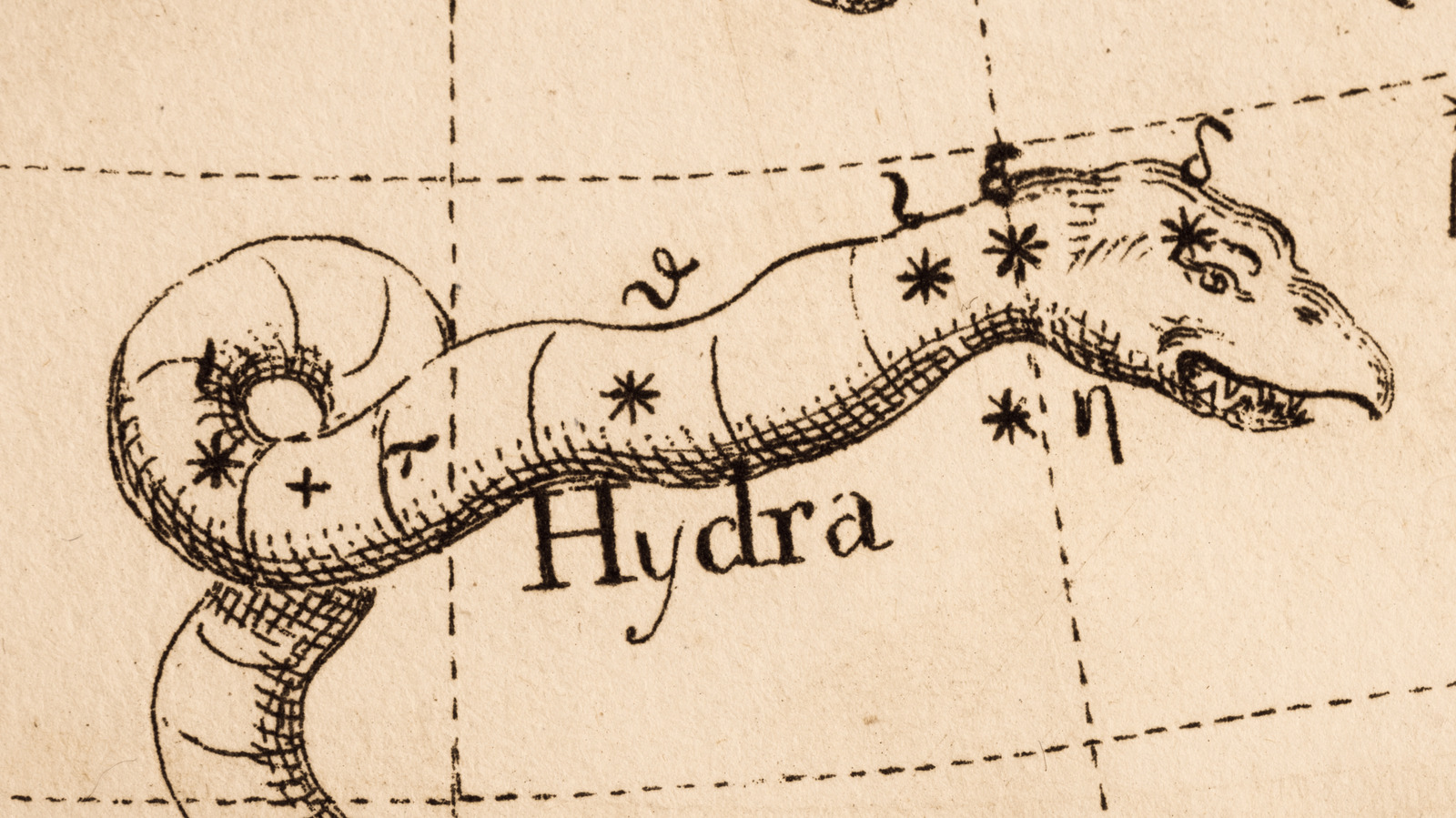 The Mythology Behind The Hydra Constellation Explained
