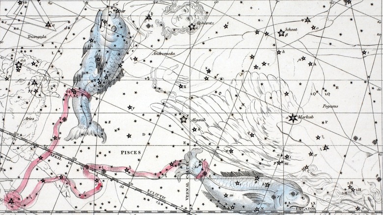 Drawing of Pisces constellation