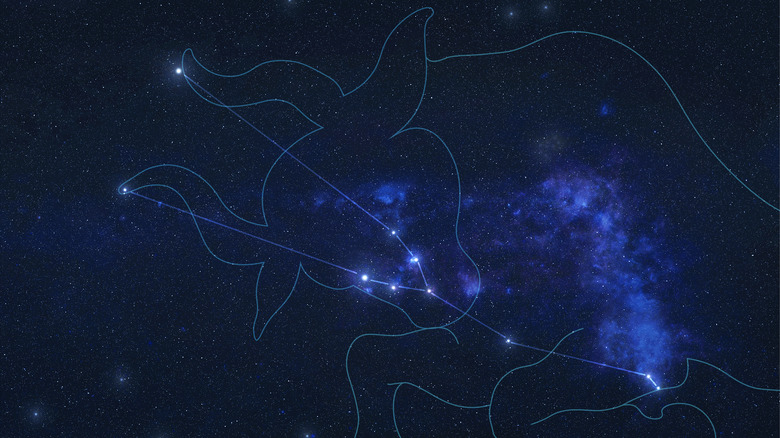 the Taurus constellation