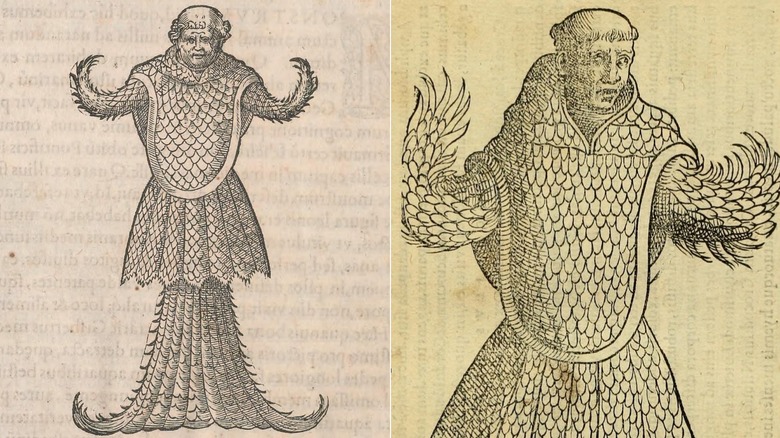 Sea monk 16th century illustrations