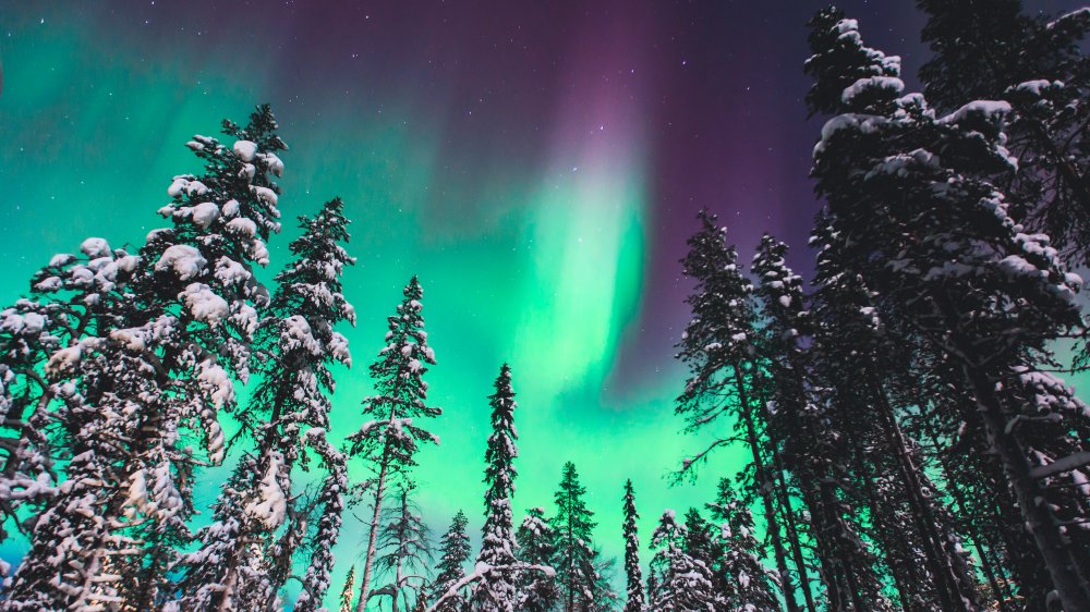 northern lights