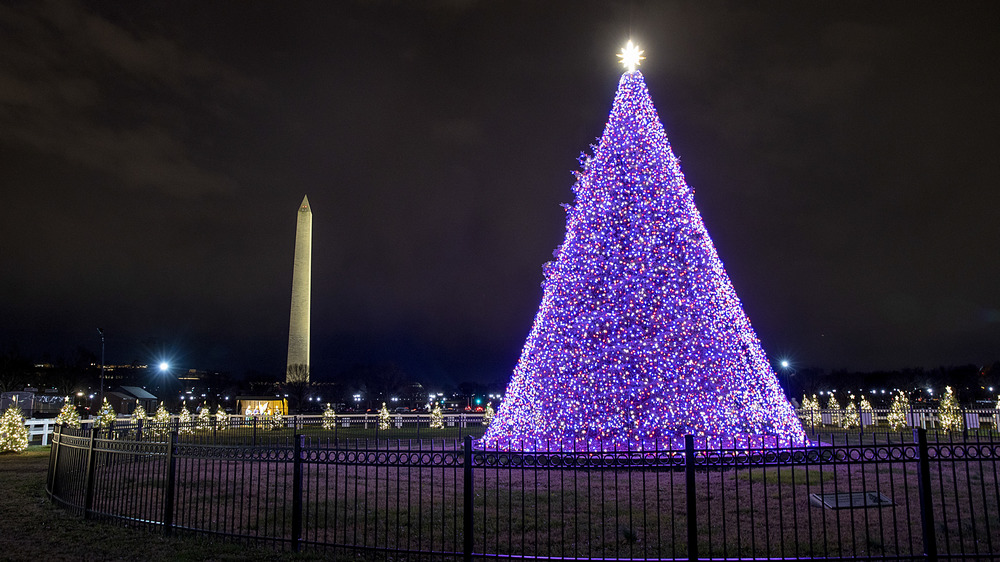 National Christmas Tree