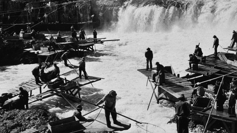 fishing for salmon on the Columbia River,