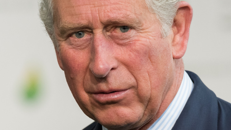 prince charles staring ahead