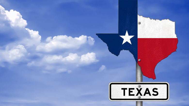texas sign