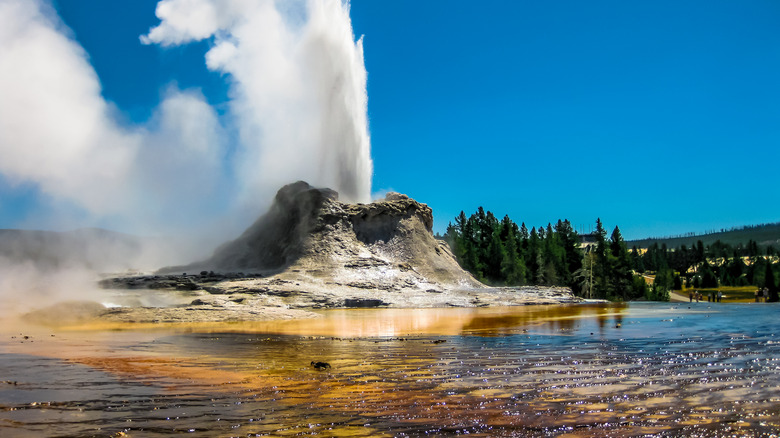 Geyser at Yellowstone Park