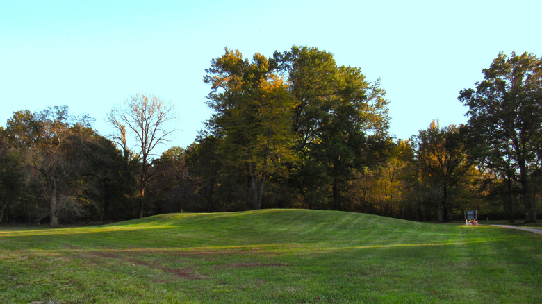 Cahokia Mound 72