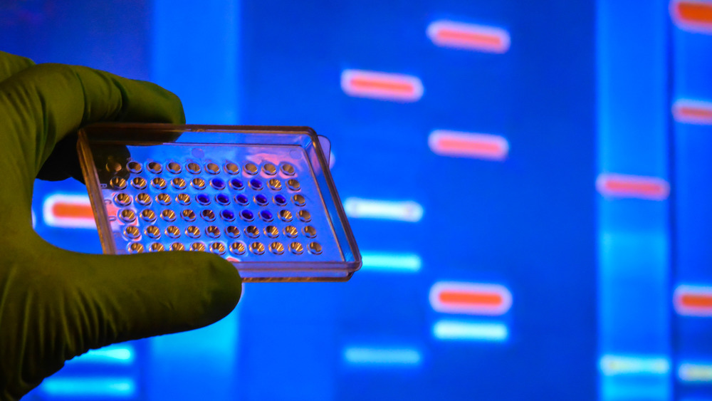 gloved hand holding dna analysis