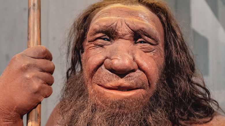 A Neanderthal